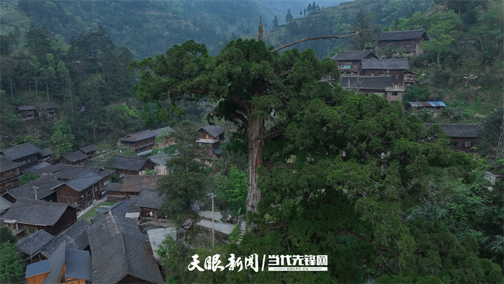 金沙威尼斯【高质量发展蹲点采访】返乡青年杨光达｜与其守望乡愁不如自己去阅读“乡愁(图4)